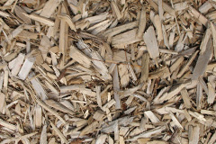 biomass boilers Wearne